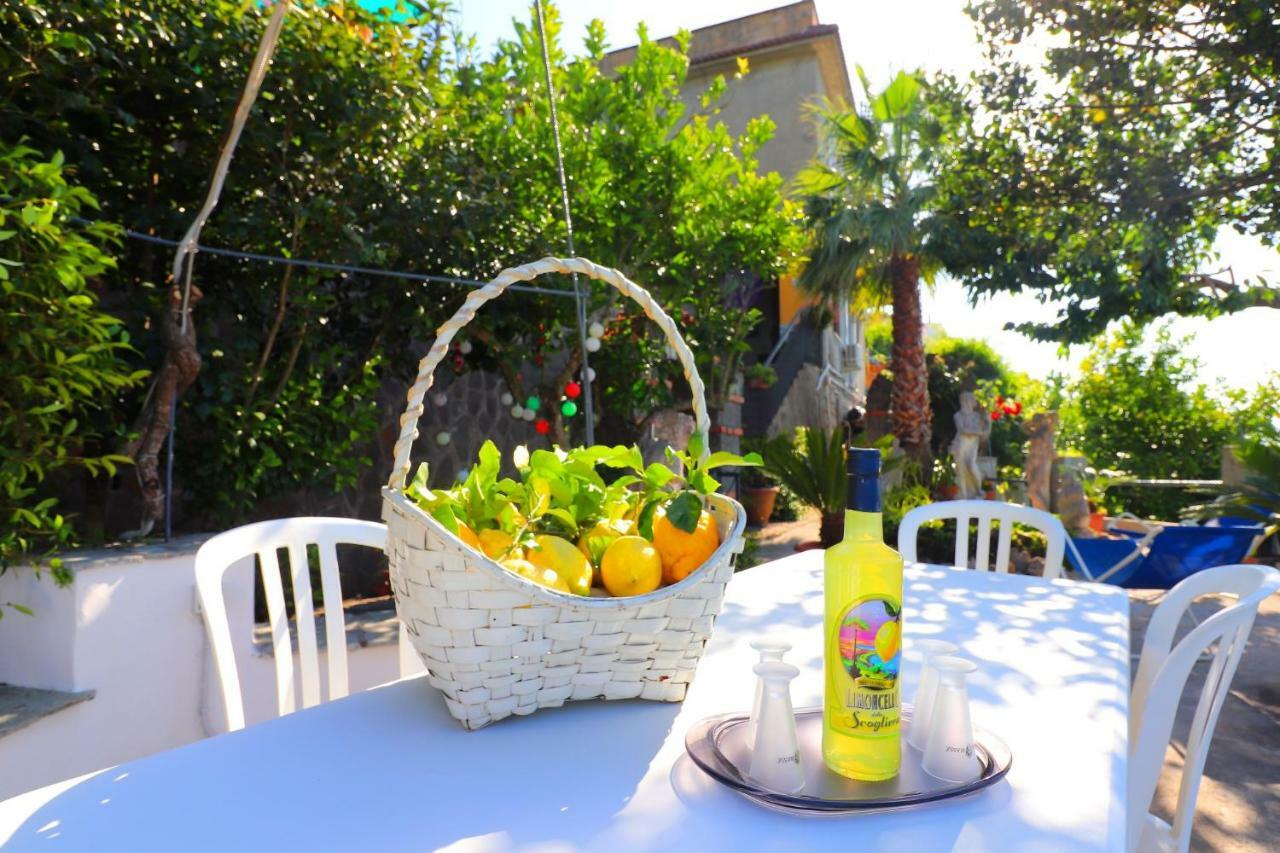Apartamento La Rosa Del Sud Península Sorrentina Exterior foto