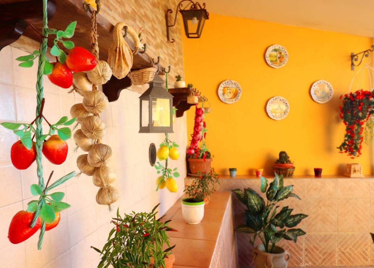 Apartamento La Rosa Del Sud Península Sorrentina Exterior foto